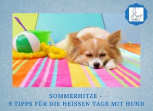 Podcast-Folge 097 Sommer mit Hund Lernpfote e. V.