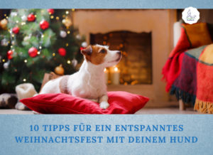 Lernpfote e.V. Podcast-Folge 056: 10 Tipps für ein entspanntes Weihnachten mit Hund