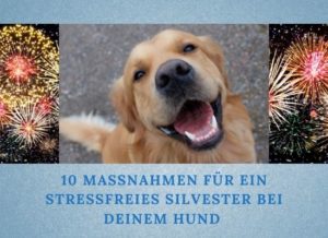 Lernpfote e.V. Podcast-Folge 058: 10 Tipps für ein stressfreies Silvester bei deinem Hund