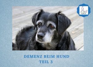 Lernpfote e. V. Podcast-Folge 070 Demenz beim Hund - Teil 3