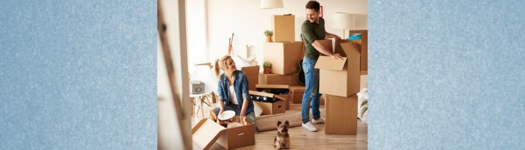 Lernpfote e. V. Blogbeitrag: Umzug mit Hund