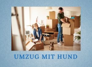 Lernpfote e. V. Podcast-Folge: 059 Umzug mit Hund