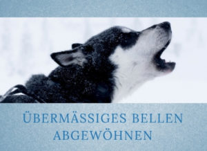 Lernpfote-Podcast Themen rund um den Hund Folge 014: Übermäßiges Bellen abgewöhnen