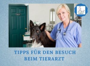 Podcast-Folge: 093 Tipps für den Besuch beim Tierarzt Lernpfote e. V.