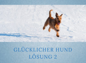 Lernpfote-Podcast Folge 003: Glücklicher Hund - Lösung 2