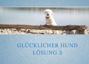 Lernpfote-Podcast: Folge 004: Glücklicher Hund - Lösung 3
