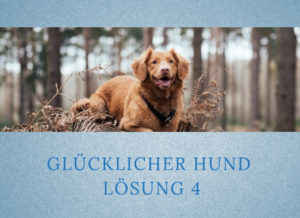 Lernpfote-Podcast: Folge 005 Glücklicher Hund - Lösung 4