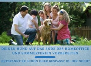 Hund auf Ende des Homeoffice und Sommerferien vorbereiten