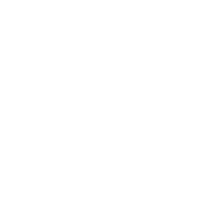 Ganzheitlicher Blick Tierheilpraxis Lernpfote