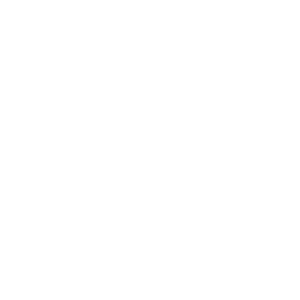 Individuelle Beratung Tierheilpraxis Lernpfote