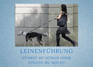 Podcast-Folge 044: Leinenführung beim Hund