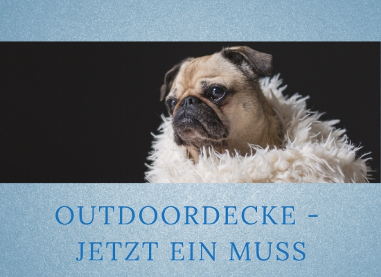 Lernpfote-Podcast Themen rund um den Hund Folge 007: Outdoordecke - jetzt ein Muss