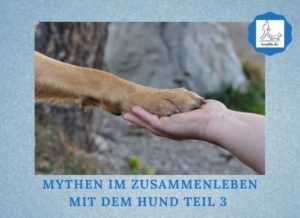Lernpfote e. V. Podcast-Folge 074 Mythen im Zusammenleben mit dem Hund Teil 3