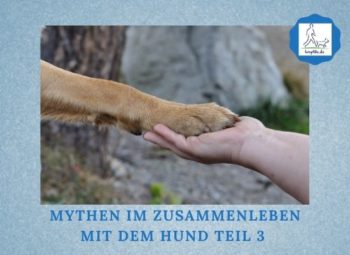 Lernpfote e. V. Podcast-Folge 074 Mythen im Zusammenleben mit dem Hund Teil 3