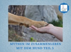 Lernpfote e. V. Podcast-Folge 077 Mythen im Zusammenleben mit dem Hund Teil 5