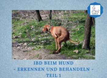 Podcast-Folge 079: IBD beim Hund - erkennen und behandeln - Teil 1 Lernpfote e. V.