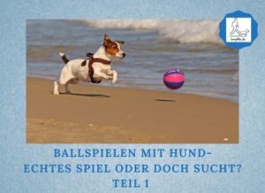 Podcast-Folge 087: Ballspielen mit Hund Teil 1 Lernpfote e. V.