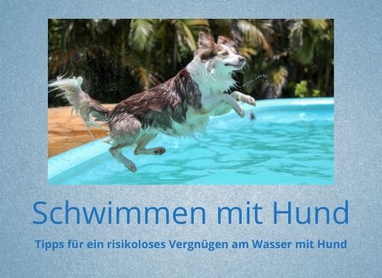 Podcast-Folge 045: Schwimmen mit Hund