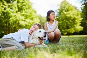 Lernpfote e. V. Blogbeitrag: Kind und Hund - Teil 2 - Regeln für ein stressfreies Miteinander