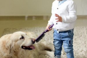 Lernpfote e. V. Blogbeitrag: Kind und Hund - Teil 2 - Regeln für ein stressfreies Miteinander