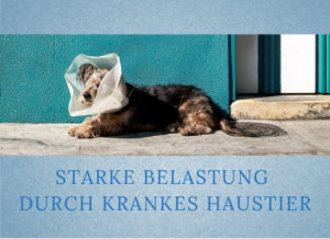 Lernpfote-Podcast: Folge 010: Starke Belastung durch krankes Haustier