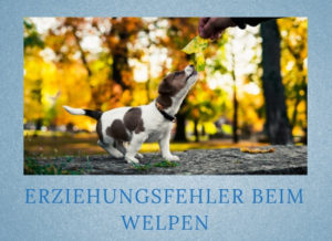 Lernpfote-Podcast: Folge 008: Erziehungsfehler beim Welpen