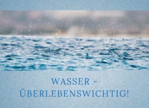 Lernpfote-Podcast, Folge 019: Wasser-überlebenswichtig