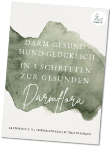 Lernpfote e. V. eBook gesunde Darmflora beim Hund - gesunder Hund - kostenlos gratis herunterladen