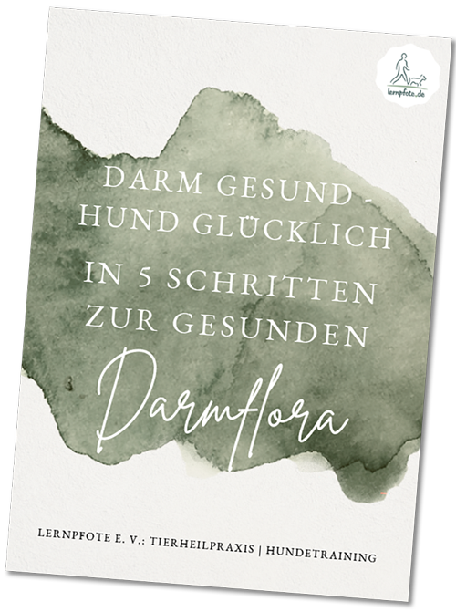 Lernpfote e. V. eBook gesunde Darmflora beim Hund - gesunder Hund - kostenlos gratis herunterladen