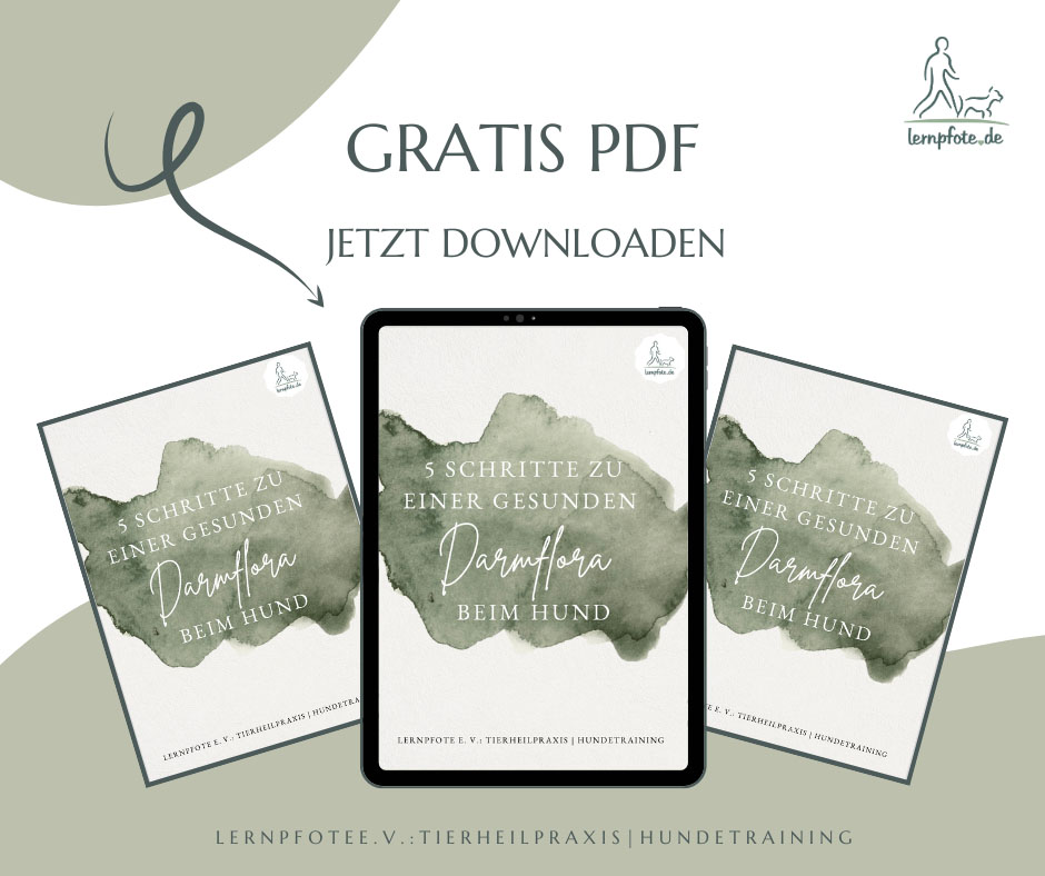 eBook gesunde Darmflora beim Hund - gesunder Hund - kostenlos gratis herunterladen