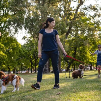 Lernpfote e. V. Hundetraining FamilyDog-Ausbildung Trainingsorte