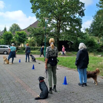 Lernpfote e. V. Seite Preise Hundetraining Gruppentraining