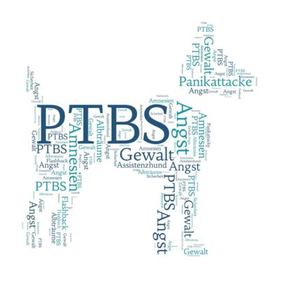 Lernpfote e. V. Seite Assistenzhunde PTBS Assistenzhund Was kann er tun