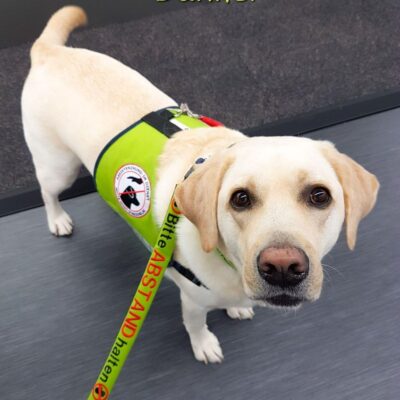 Lernpfote e. V. Seite Assistenzhunde individuelle Assistenzhundeausbildung