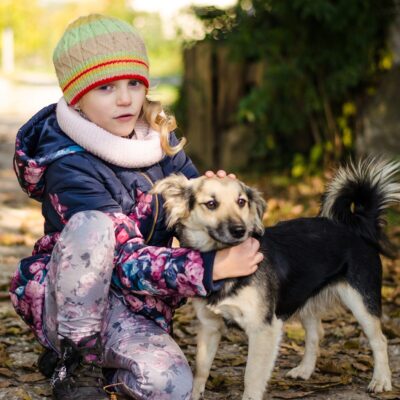 Lernpfote e. V. Seite Auslandshunde Training wo es drauf ankommt