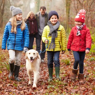 Lernpfote e. V. Seite Hundetraining FamilyDog Ausbildung