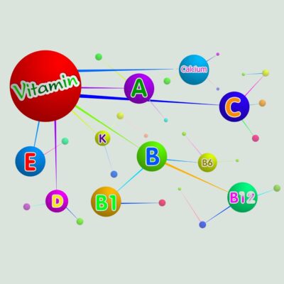 Lernpfote e.V. Seite Tierheilpraxis Epigenetik in der Tierheilpraxis für Hunde