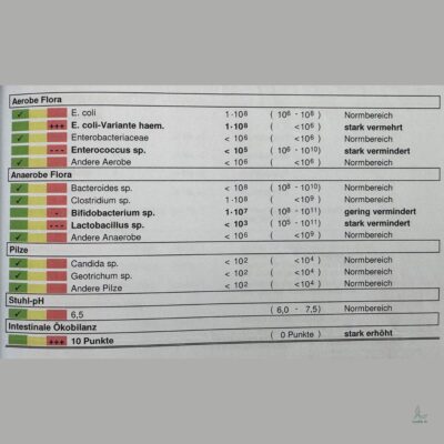 Lernpfote e. V. Seite Tierheilpraxis Kotflora-Analyse beim Hund