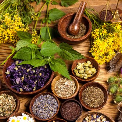 Lernpfote e. V. Seite Tierheilpraxis Phytotherapie Heilpflanzen