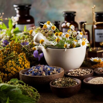 Lernpfote e. V. Seite Tierheilpraxis Phytotherapie Heilpflanzen