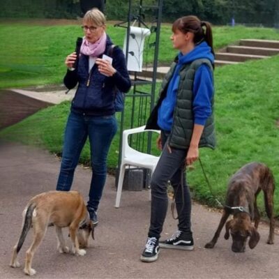 Lernpfote e. V. Seite Über uns Dozententätigkeit