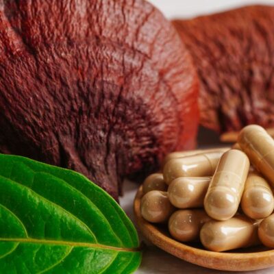 Lernpfote e.V. WebSeiteMykotherapie Heilpilze