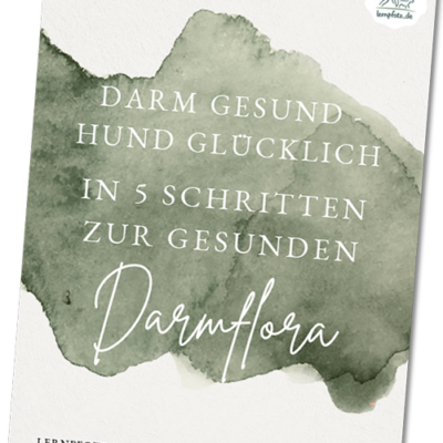Lernpfote e. V. eBook gesunde Darmflora beim Hund - gesunder Hund - kostenlos gratis herunterladen