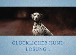 Lernpfote-Podcast: Folge 002 Glücklicher Hund - Lösung 1